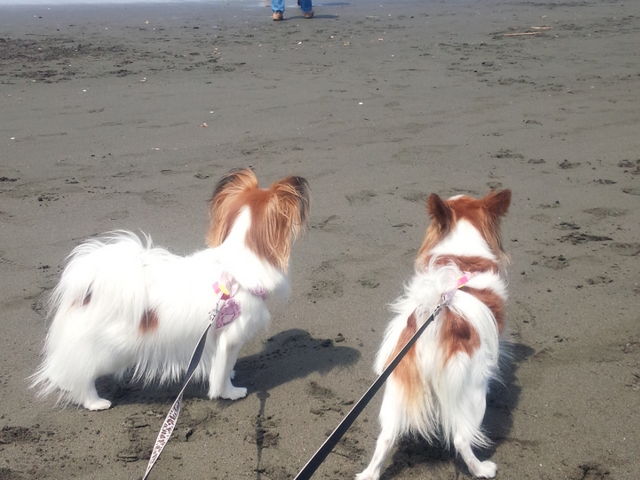 �А����l�E�����C������