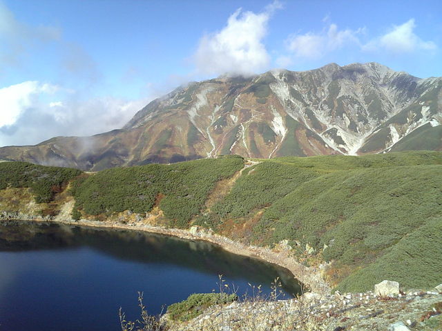 �΂��L���C_������