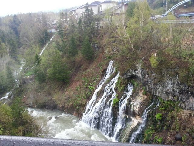 ���Ђ��̑�