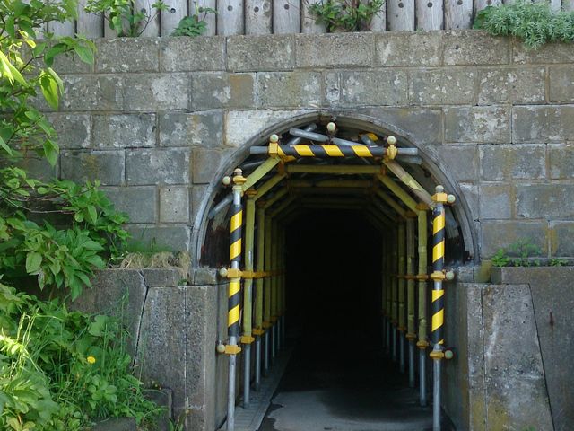 �����ӊC��