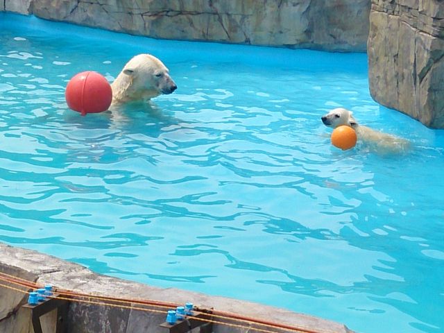 �~�R������