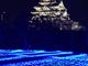 ゆっかりぃさんの大阪城天守閣の投稿写真1