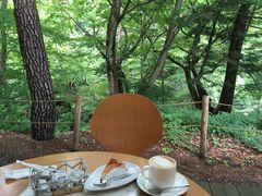 ih̐X̃JtF@jhrdjhւ̓eʐ^1