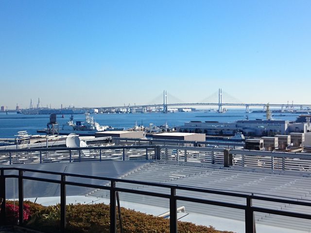 ̑̌iF_l݂ȂƂ݂炢@ty