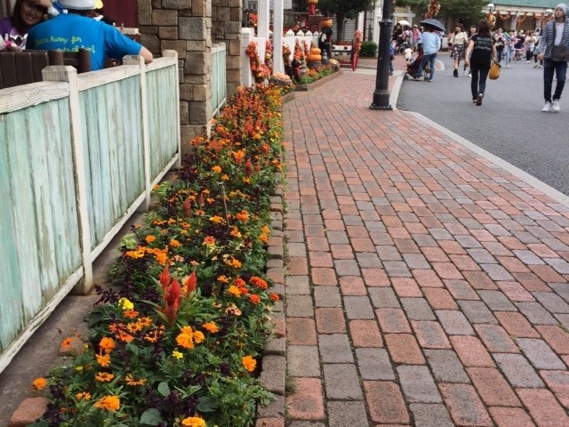 �ԁB��̂����ɁA���������ɐA���ւ�����ƕ����܂����B_�����f�B�Y�j�[�V�[(R)