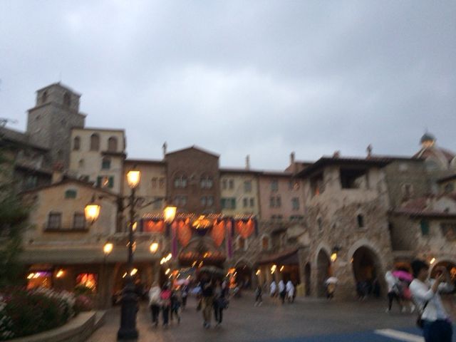 �[�������ꂢ_�����f�B�Y�j�[�V�[(R)