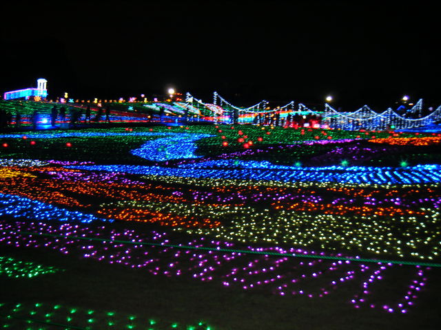 �����h�C�c��