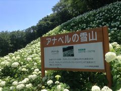 わんダフルネイチャーヴィレッジ あじさい園 の写真一覧 じゃらんnet