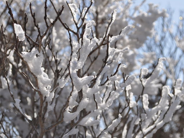 2���ɂ͎��X���݂��܂�_���т̍���