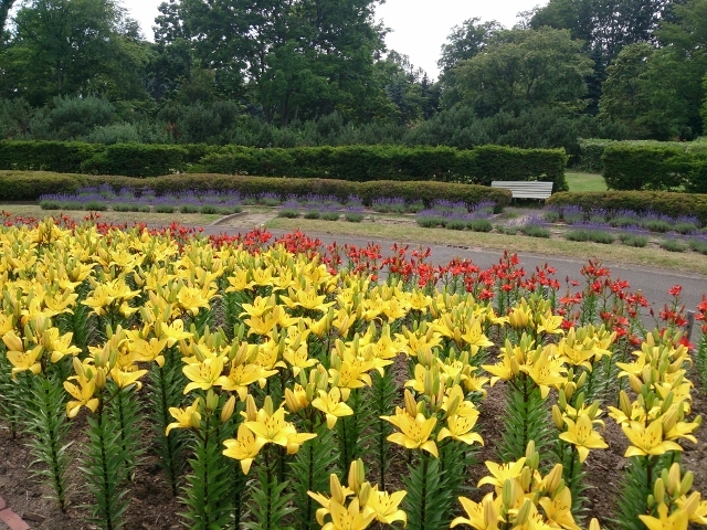 �S����������