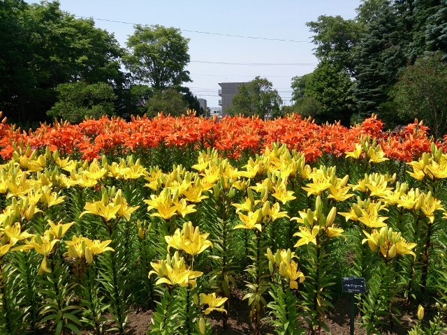 �S����������