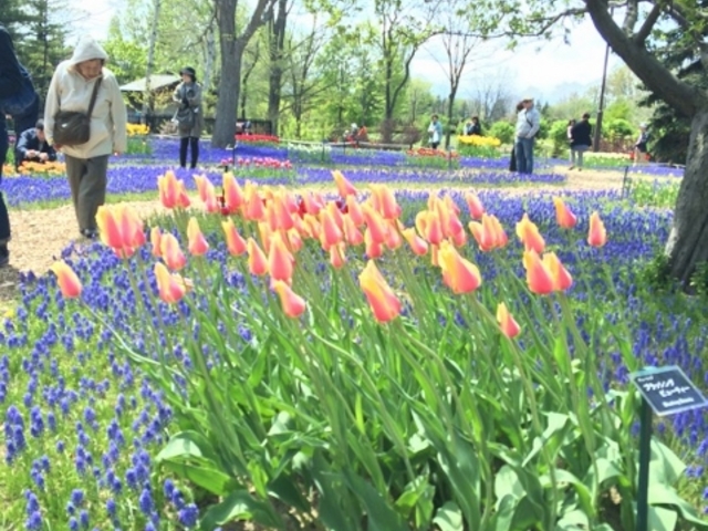 �S����������