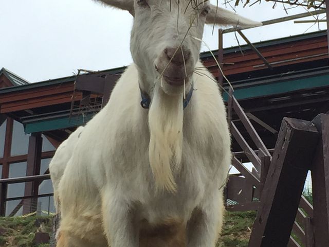 �€����_���R������