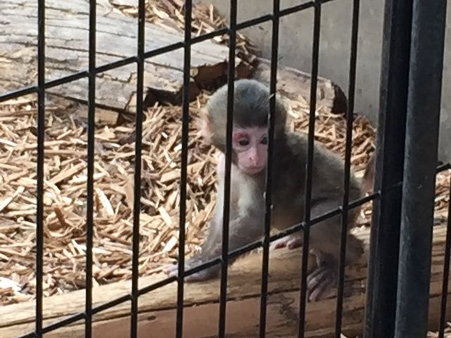 �����邳��_���R������