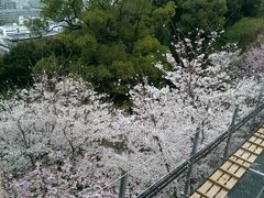 めぐみさんの松山城山東雲登山口～長者ヶ平リフトの投稿写真3