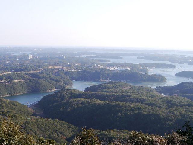 ���R�W�]�䂩��Ղމp�h�p_�p��p