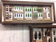 񂿂񂳂̖aق̓eʐ^1