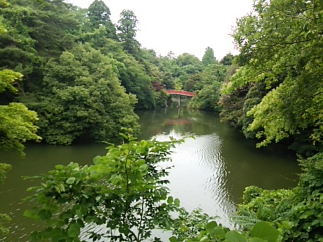 �X���ɐÂ��Ȍ���_�����Ï�����i��Ձj