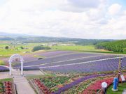 SierraNortẽx_[̓eʐ^1