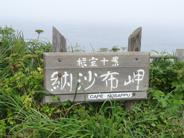 �[���z��