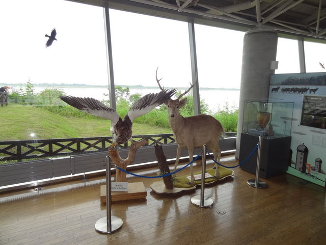 ���̉w �X�����S�S�˂ނ�