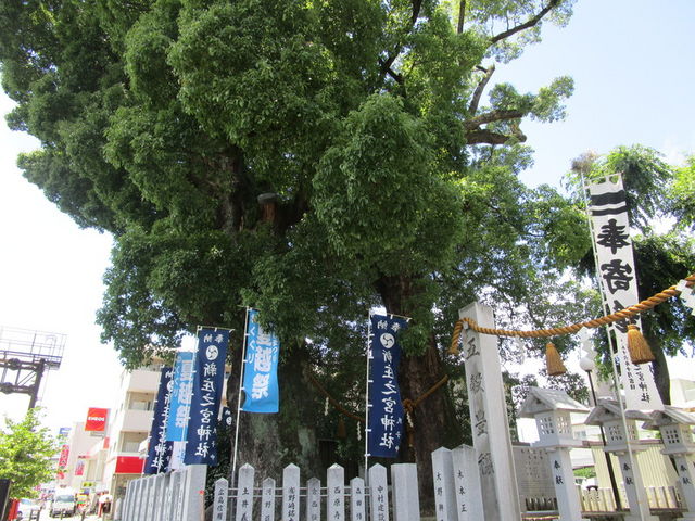 ҂̐V̋{̎Бp̓eʐ^5