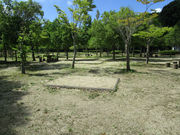 ҂̌sOZ^[iuLvj̓eʐ^5