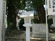 ҂̐V̋{̎Бp̓eʐ^4