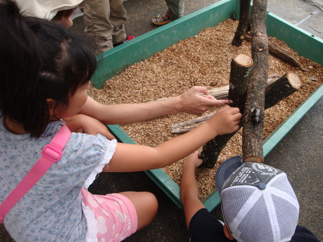 �����s������