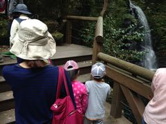 混雑に注意 赤目四十八滝の口コミ じゃらんnet