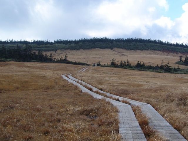 �����P_������