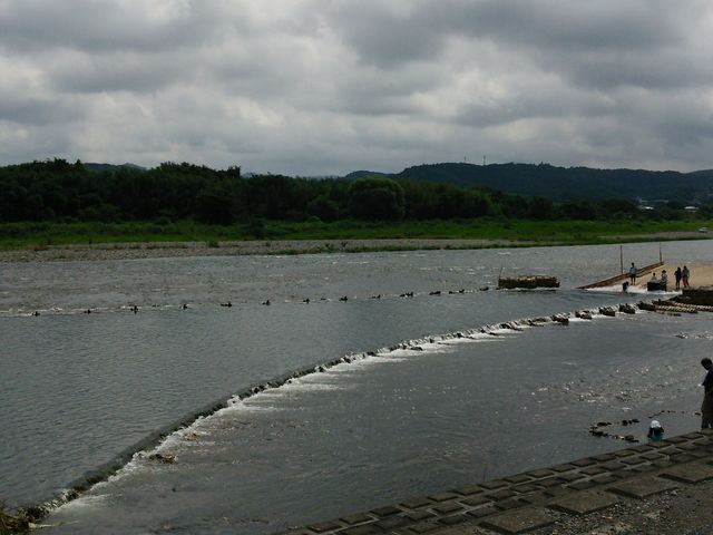 Ȃ͎Rɓ܂B
߂܂̓[X܂B_ό