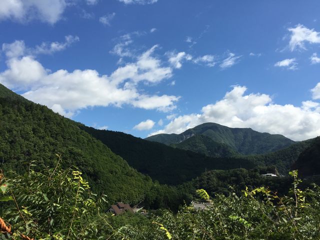 ݋Êق̌iF_J݂̒苴