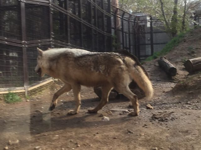 �~�R������