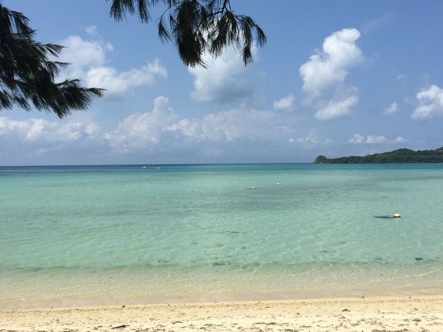 �X�N�W�r�[�`��������_��n�C������