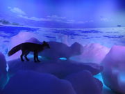 񂳂̃Iz[cNXق̓eʐ^2