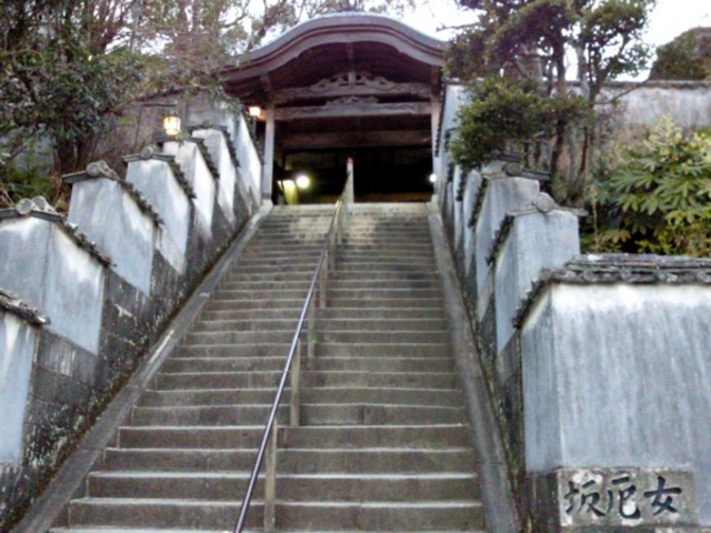 �{���ւ̐Βi�͖���_�򉤎��i���������g���j