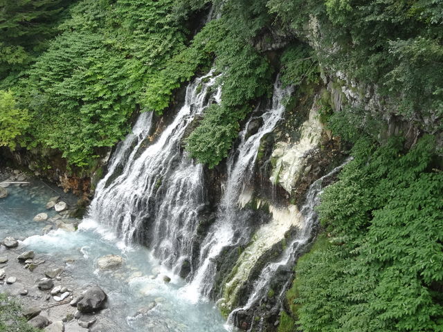 ���Ђ��̑�