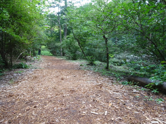 �p�[�N���~����Ă��đ��ɗD���������₷���ł��B_�ԏ鎩�R��