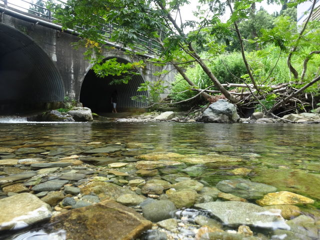 ΂񂳂̑匹LjI̓eʐ^1