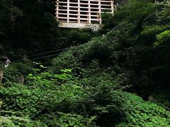 いなっちさんの出流山満願寺の投稿写真1