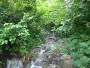 ΂񂳂̃}`K̎c̓eʐ^2