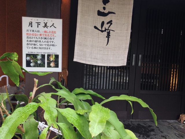 イベント紹介_天然温泉 三峰
