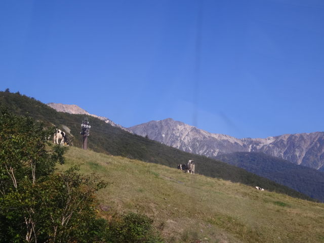 �f�G�Ȓ��߂ł��B_���n��������
