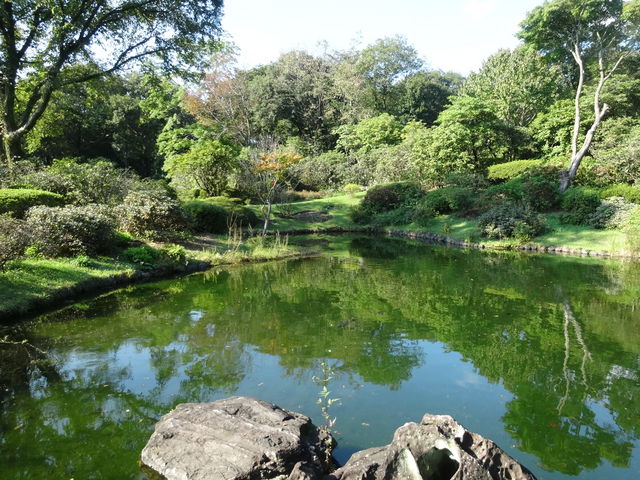 ��j���ł��܂��B_�ԏ鎩�R��