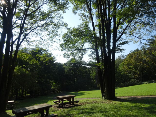 �x�e�L��ł��B_�ԏ鎩�R��