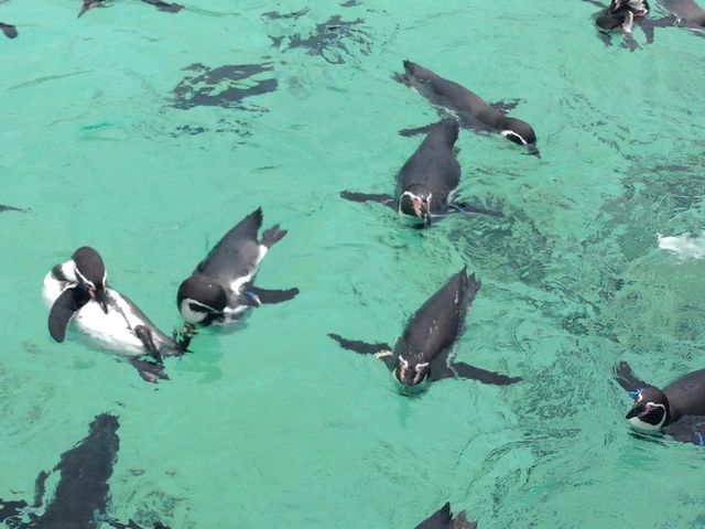 �y���M��_�����s�����ՊC������