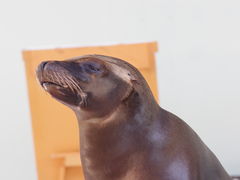 m2mama̐EW ANAggӂւ̓eʐ^2