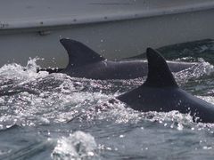 񂳂̓쓇CJEHb`Oւ̓eʐ^1