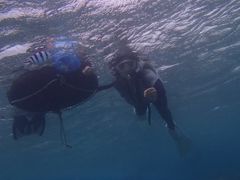 Ⴂ񂳂̃}NuW[}ւ̓eʐ^1